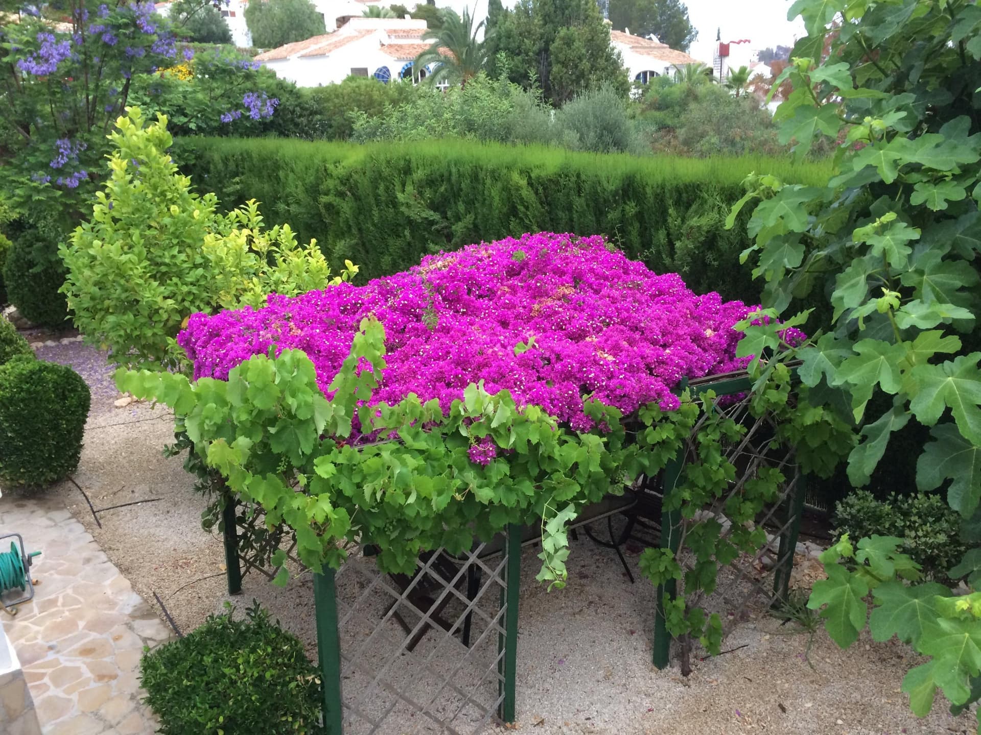 Casa Santa Rita — Jávea - Xàbia — 7/8