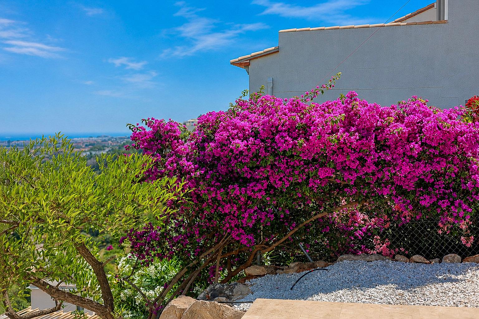 Casa Ventana al Mar — Denia — 59/60